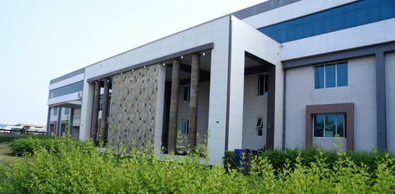 company profile